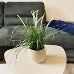 Schmitz Apartman Schillig