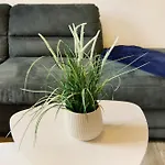 Schmitz