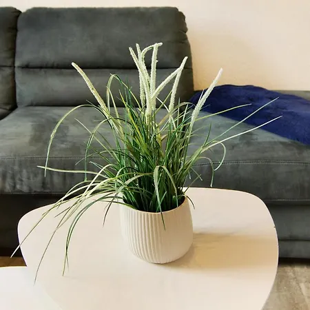 Schmitz Apartment Schillig