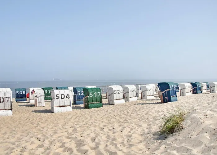 Schmitz * Шиллиг