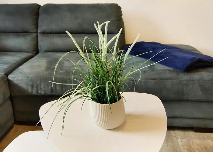 Schmitz Апартаменты Шиллиг